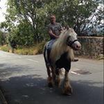 Profile Picture of Frank Nutter (@frank.nutter) on Instagram