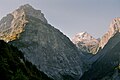 Profile Picture of Selbsanft - Wikipediaon Wikipedia
