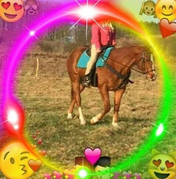 Profile Picture of Pamela Trask (@pamtrask) on Poshmark