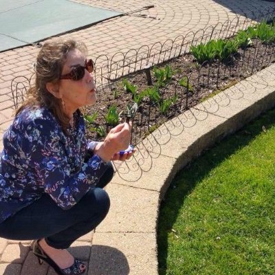 Profile Picture of Janet Saul (@JanetSaul3) on Twitter