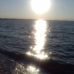 Profile Picture of dimos passalis (@passalis) on Instagram