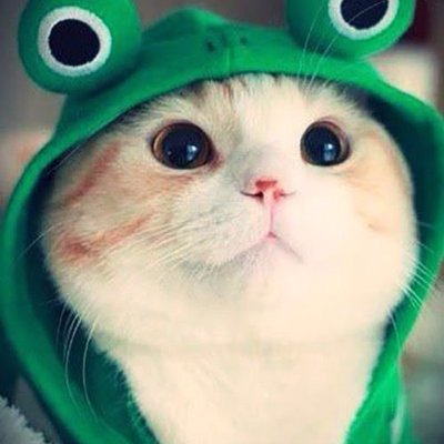 Profile Picture of Rachel Foss (@flossyfoss) on Twitter