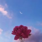 Maye Ramirez - Facebook Profile Picture of Maye Ramirez (@Maye-Ramirez) on Facebook