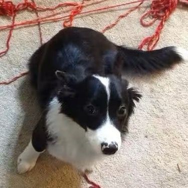 Benjamokey - Tiktok Profile Picture of Benjamokey (@benjamokey) on Tiktok