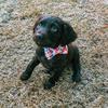 Profile Picture of Ruby Ritchey (@@rubysuetheboykin) on Tiktok