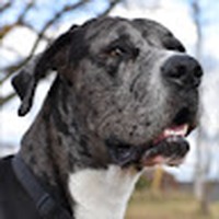 Profile Picture of Ada Perkins (@ada-perkins-6) on Quora