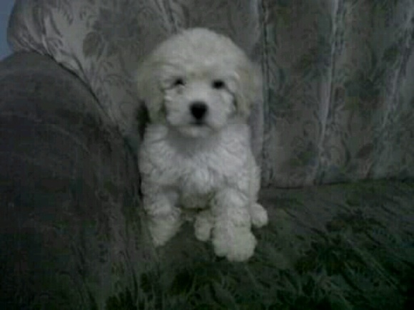 Alex Navas - Poshmark Profile Picture of Alex Navas (@alexnavs) on Poshmark