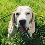 Profile Picture of Flikkie (@flikkiee) on Instagram