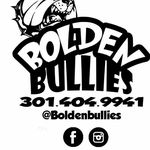 Profile Picture of Ervin & LaJuan Bolden (@boldenbullies) on Instagram