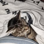 Profile Picture of Birgla Stiglitz (@Birgla-Stiglitz) on Facebook