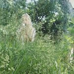 Profile Picture of 𝓣𝓪𝓶𝓮𝓻𝓪 𝓟𝓪𝓽𝓽𝓸𝓷 (@foxy_jewel) on Instagram