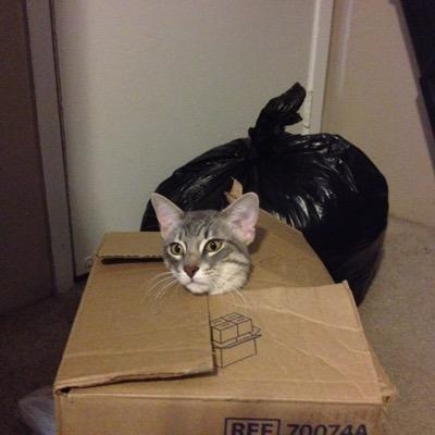 Profile Picture of John Woody (@Wierd_Bob) on Twitter