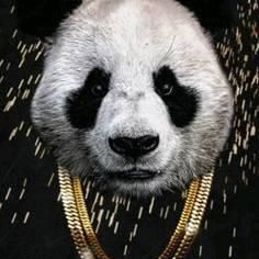 Profile Picture of Jose Marx (@jose.marx.5243) on Facebook