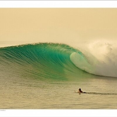 Profile Picture of Mark Lurie (@mslurie) on Twitter