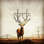 Profile Picture of mohammad  asiyabn (@mohammad_electrician) on Instagram
