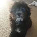 Profile Picture of Adolf Joe (@Adolf-Joe) on Facebook