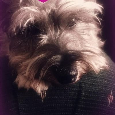 Profile Picture of Ady Lopez Luna (@AdyLopezLuna2) on Twitter