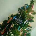 Profile Picture of Lara weidinger (@larazwetschke) on Instagram