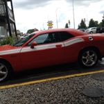 Profile Picture of Leo Scott. I Love Lacross (@deeman_73) on Instagram