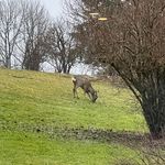 Profile Picture of Isabelle Mouton (@isajerome39150) on Instagram