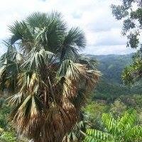 Profile Picture of Oliver Guy (@oliver.guy.7) on Facebook