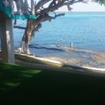 Profile Picture of Víctor De Aguinaga Zuno (@victor.d.zuno) on Instagram