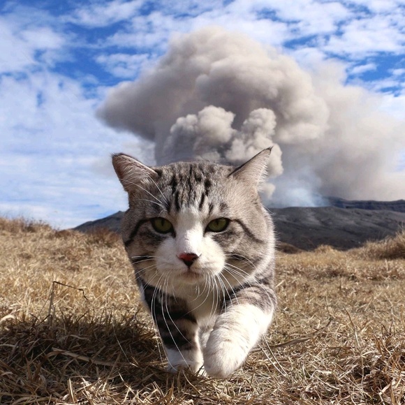 Profile Picture of Hannah Jokela (@purplebee23) on Poshmark