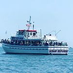 Profile Picture of Robert Quinn (@ocean_explorer_belmar) on Instagram