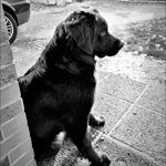 Profile Picture of Isabelle Marc (@isabelle.serra.967) on Instagram