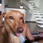 Profile Picture of lisa02 (@balbino_lisa) on Instagram