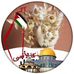 Profile Picture of Baya Younsi (@baya.younsi) on Facebook