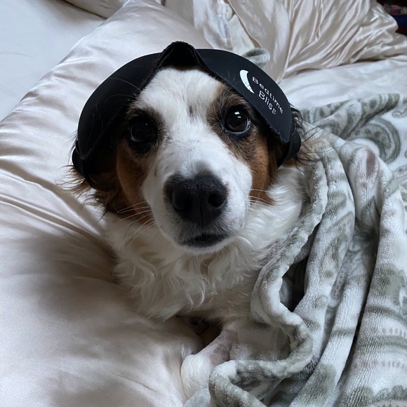 Profile Picture of Claudia Raffety (@claudia_raffety) on Poshmark