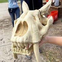 Profile Picture of Joshua Simmons  (@joshua-simmons-215) on Quora