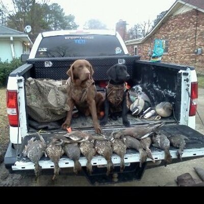 Profile Picture of Jordan Hendrix (@jordanhendrix14) on Twitter