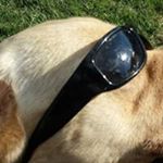 Profile Picture of Mike Gassaway (@gassawaymike) on Instagram