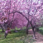 Profile Picture of Lawrence Williams (@lawrence_williams917) on Instagram