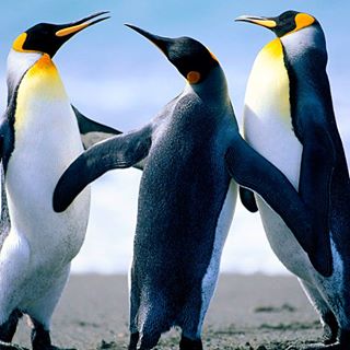 Profile Picture of Raven McCloud (@raven.mccloud.98) on Facebook