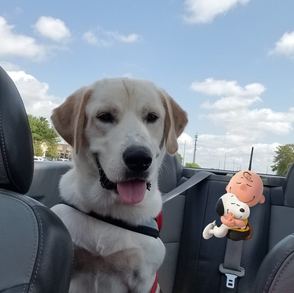 Marilyn Coleman healy - Poshmark Profile Picture of Marilyn Coleman healy (@abysynth) on Poshmark