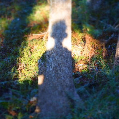 Profile Picture of DavidDarko (@david36604) on Twitter