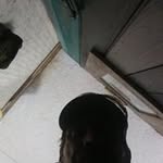 Profile Picture of Allen Locklin (@locklinallen) on Instagram