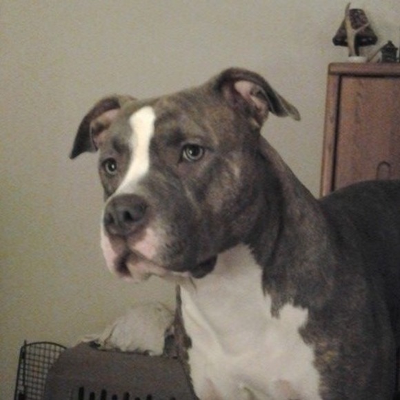 Doug Twyman - Poshmark Profile Picture of Doug Twyman (@dougmtwyman) on Poshmark