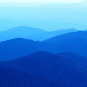 Profile Picture of Harry Seely (@159010830) on Myspace