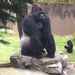 Profile Picture of Jeff Spindler (@jeffspindler7) on Pinterest