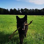 Profile Picture of Wigand Klepp (@wigandklepp) on Instagram