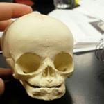 Profile Picture of Bradley Willerford (@bradleymayn) on Instagram