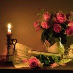 Merrill - Instagram Profile Picture of Merrill (@merrillfoxfarm0k) on Instagram