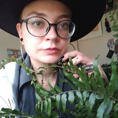 Profile Picture of Perry 🐝 (@SunshineDaisyB2) on Twitter