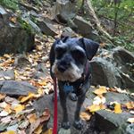 Profile Picture of Jane Fowler (@janefowler5526) on Instagram