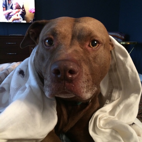 Profile Picture of Maria Pishko (@signet) on Poshmark