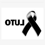 Profile Picture of Joaquim Mendes (@joaquim_mendesjunior) on Instagram